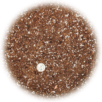 ⭐ Organic Premium Potting All Purpose Soil - SEED STARTER Soil for Leafy Greens, Tomatoes and Other Seedlings, Seeds and Starts - (2 Quart Bag)