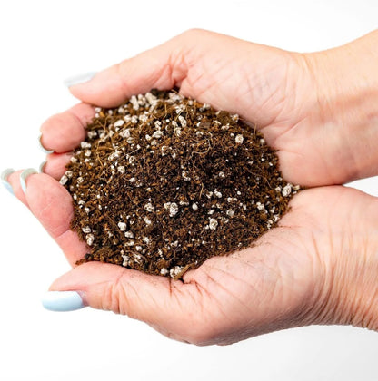 ⭐ Organic Premium Potting All Purpose Soil - SEED STARTER Soil for Leafy Greens, Tomatoes and Other Seedlings, Seeds and Starts - (2 Quart Bag)